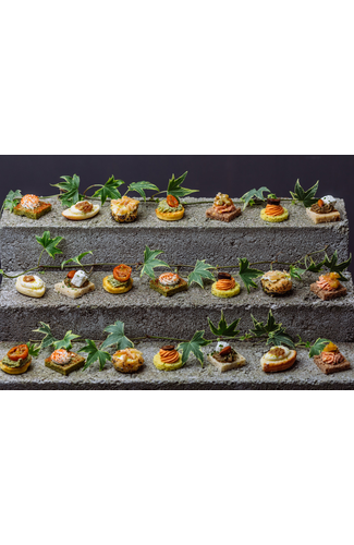 Provencal Bistro Canapes (1 X 63)