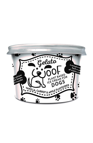 Gelato Woof vanilla, carrot and apple flavour ice cream for dogs